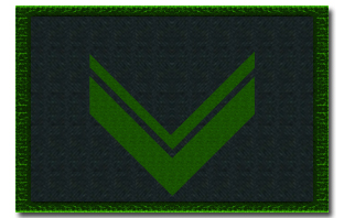 File:Parche Cabo 2° de Gendarmería.jpg