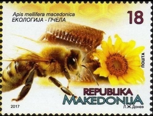 File:Apis mellifera macedonica.jpg