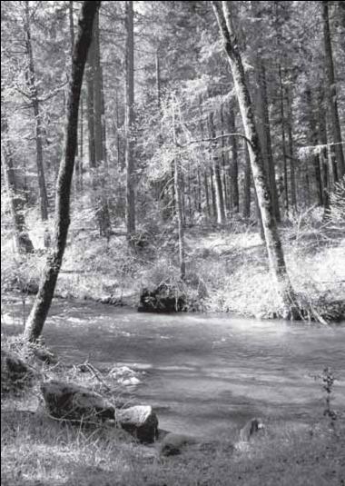 File:Little Applegate River bw.jpg