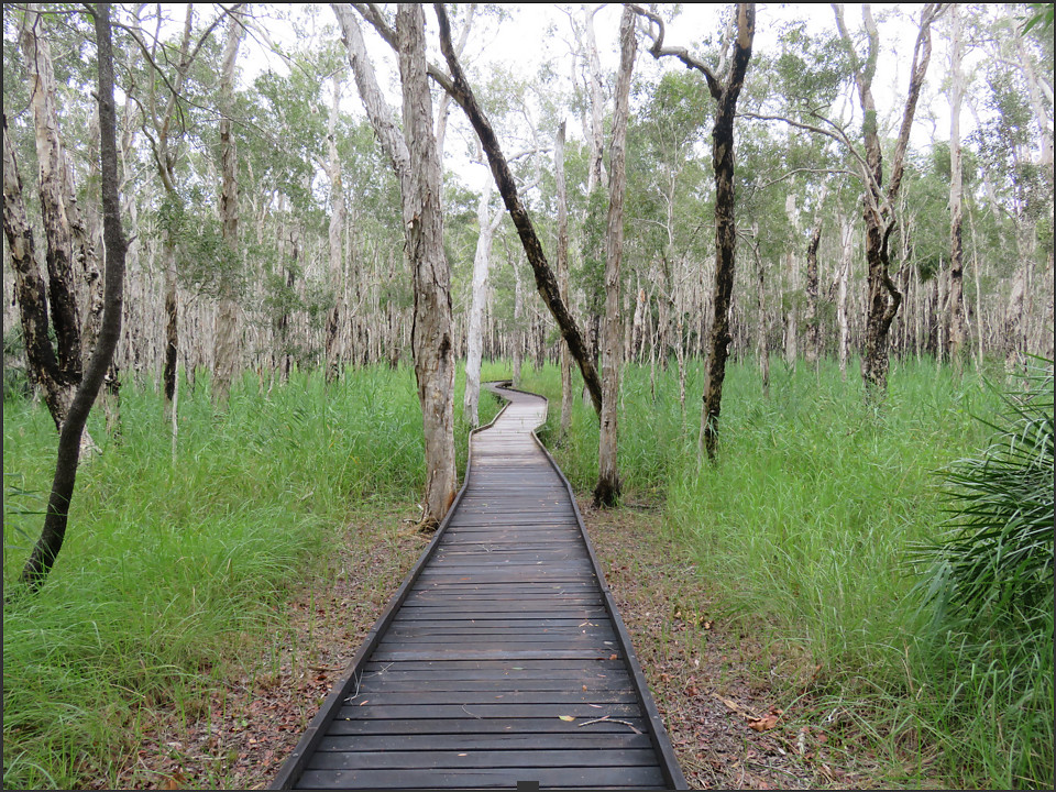 File:Banksia wetlands walking track, Woodgate, 2022.jpg