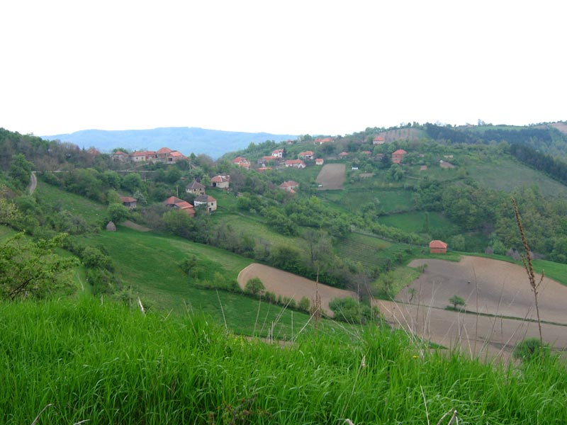 File:Panorama sela sljivica.jpg