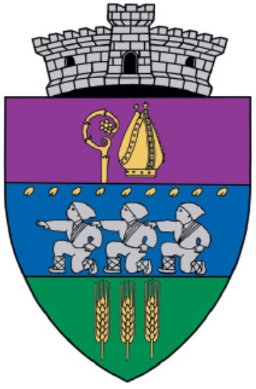 File:ROU TM Checea CoA.PNG