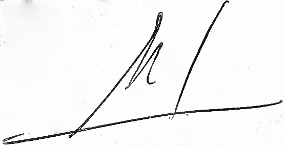 File:Firma de Manuel Rodriguez Lopez.jpg