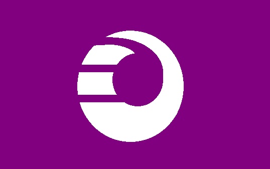 File:Flag of Shinsei Gifu.JPG
