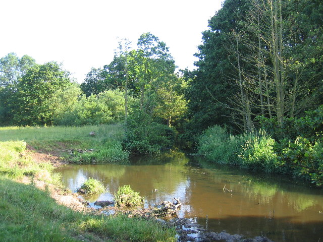 File:River Alne - geograph.org.uk - 21834.jpg