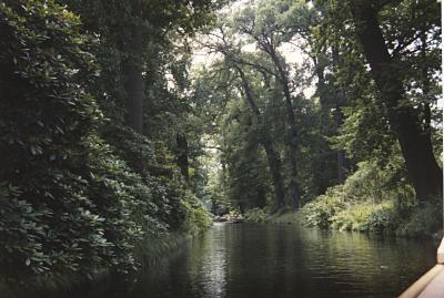 File:Woerlitz5.jpeg