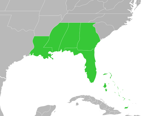 File:Symphyotrichum adnatum distribution.png