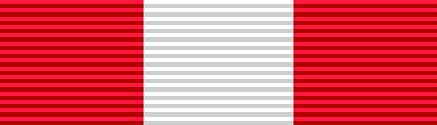 File:Medal for Valor.JPG