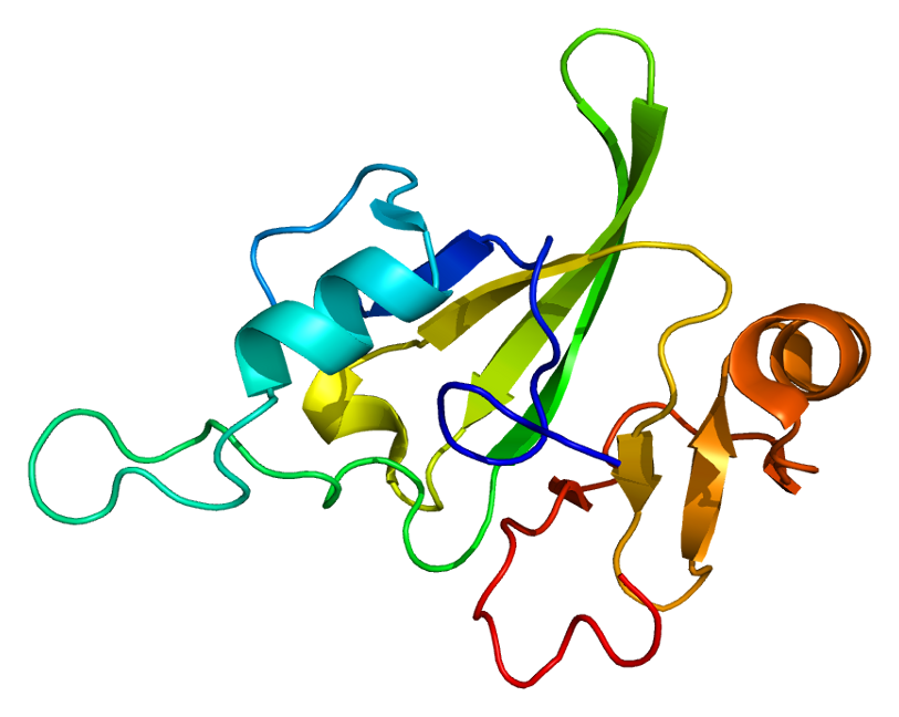 File:Protein HBP1 PDB 1v06.png