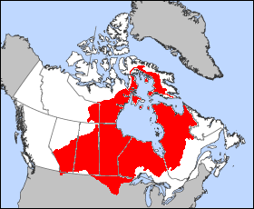 File:Hudson-bassin.PNG