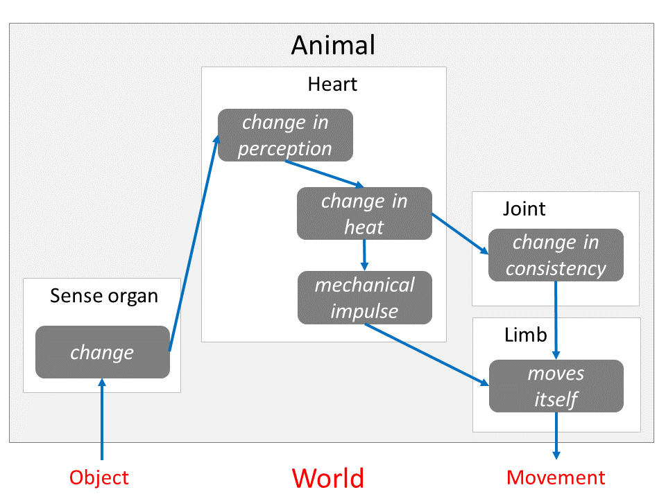File:Aristotle's model of information processing.png