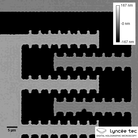 File:Comb-drive-digital-holographic-Microscopy-Holographic-MEMS-Analyzer.gif