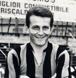 File:Signorelli Paolo.jpg