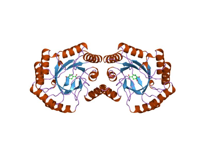 File:PDB 1qfe EBI.jpg