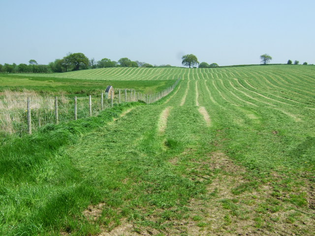 File:Buerton - Grass Cutting.jpg