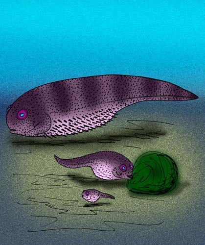 File:Delphyodontos dacriformes.jpg