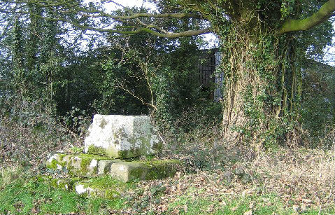 File:Remains of preaching cross at Trellech Cross - cropped.jpg
