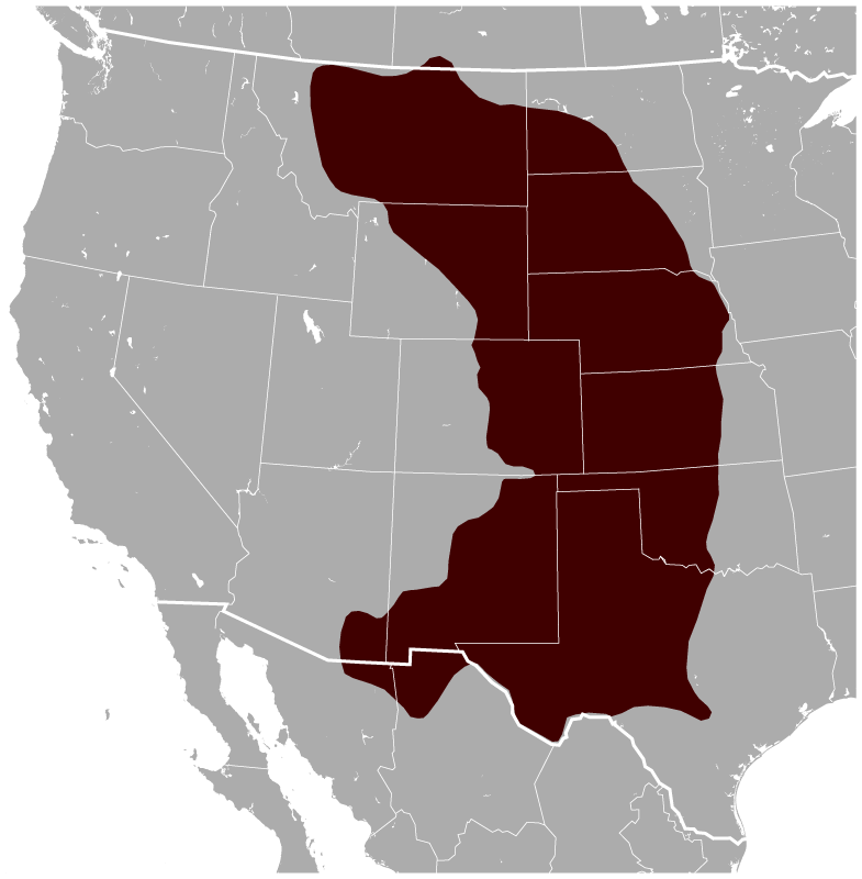 File:Black-tailed Prairie Dog Cynomys ludovicianus distribution map.png