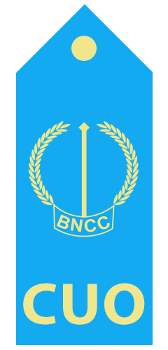 File:CUO EPAULETTE NV - BAPPY RAYAN.png