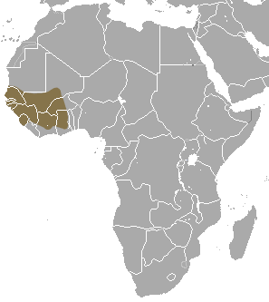 File:Green Monkey area.png