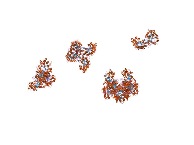File:PDB 1qo5 EBI.jpg