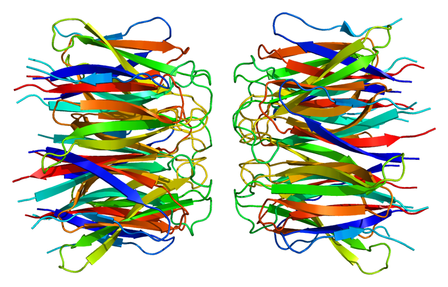 File:Protein NPM1 PDB 2p1b.png