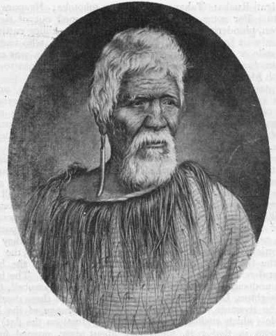 File:Te Mamaku.jpg
