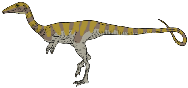 File:Camposaurus arizonensis.png
