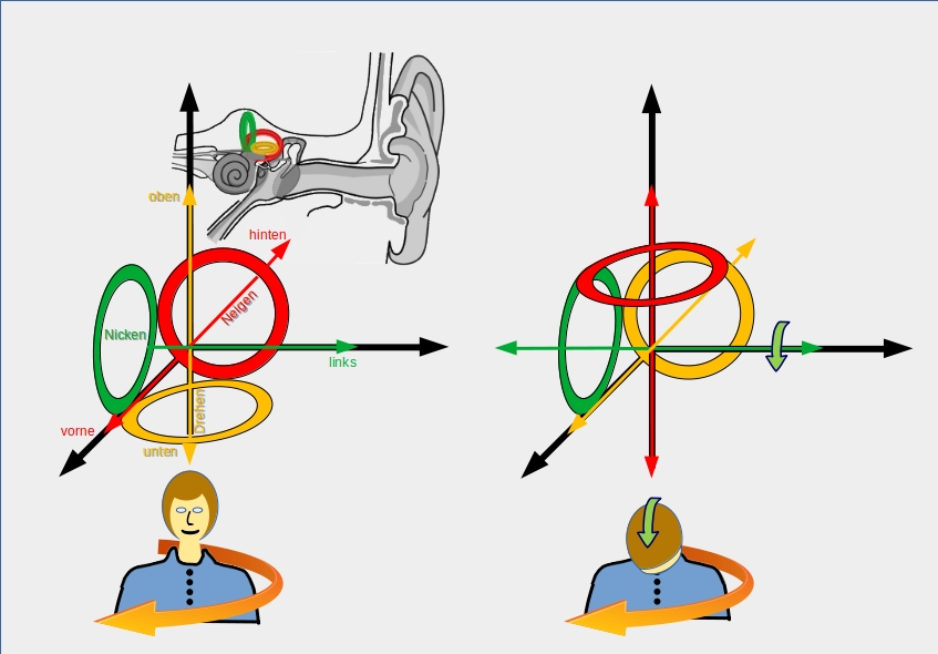 File:Coriolis Illusion Vertigo 3.jpg