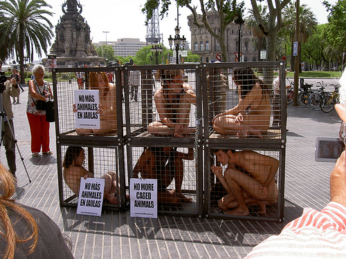 File:Nomasjaulas.jpg
