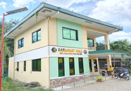 File:BRGY. HALL OF PALILI.png