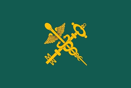 File:Flag of Belarus Customs.png