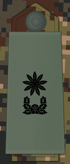 File:KA insignia Major.jpg