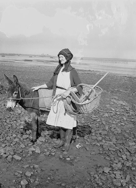 File:Women collecting cockles in Pen-clawdd, Glamorgan (8720792134).jpg