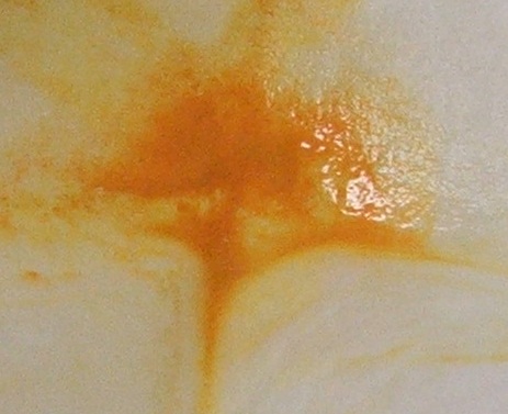 File:Cuprous oxide microcrystalline.JPG