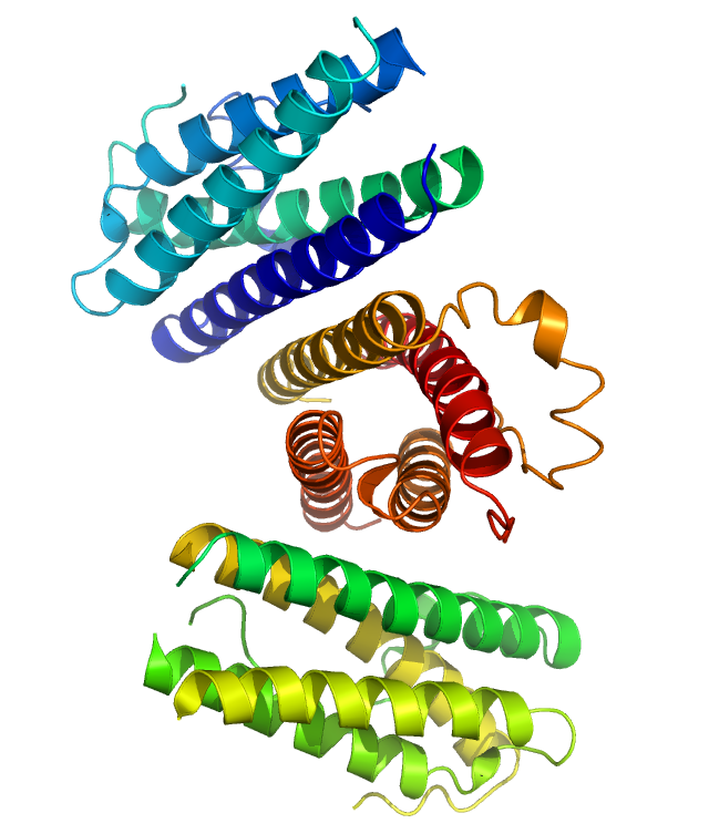 File:GCSF Crystal Structure.rsh.png