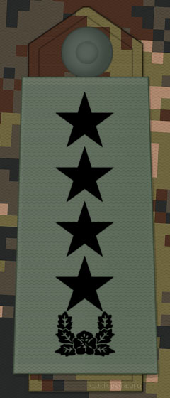 File:KA insignia General.jpg