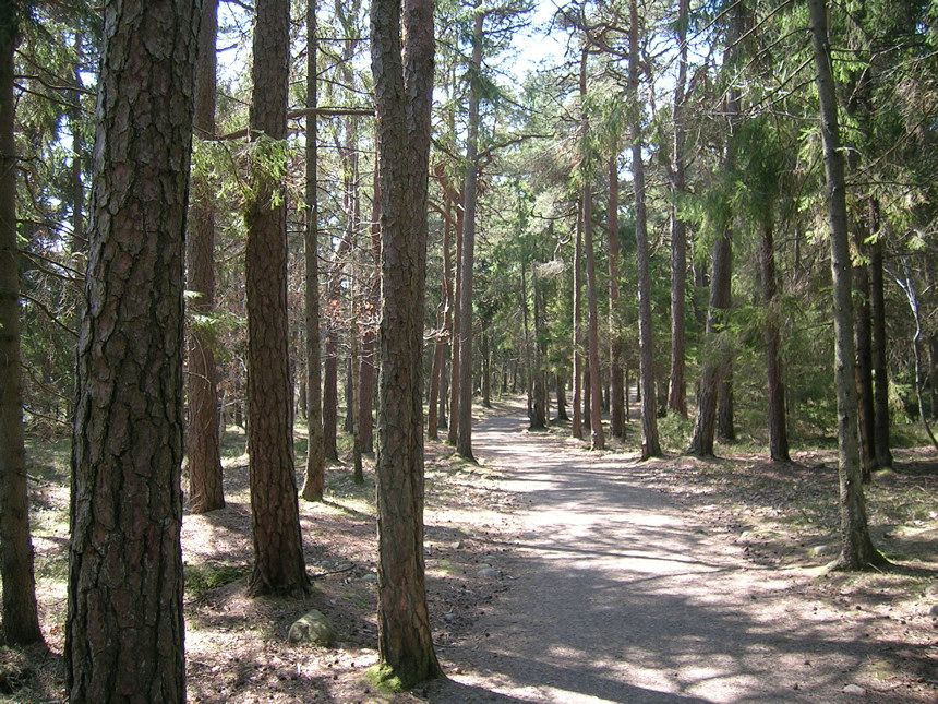 File:Hoveskogen.JPG