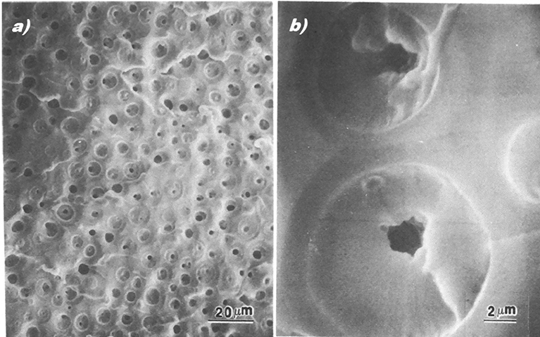 File:SEM image of cavitation.png