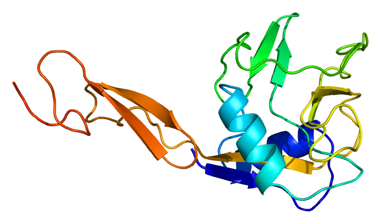 File:Protein SELE PDB 1esl.png