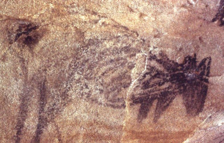 File:AboriginalSite0008.jpg