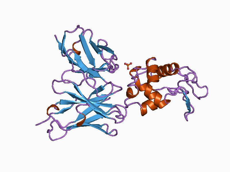 File:PDB 1a2y EBI.jpg