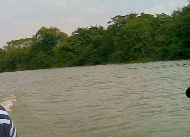 File:Rio tamesi.jpg