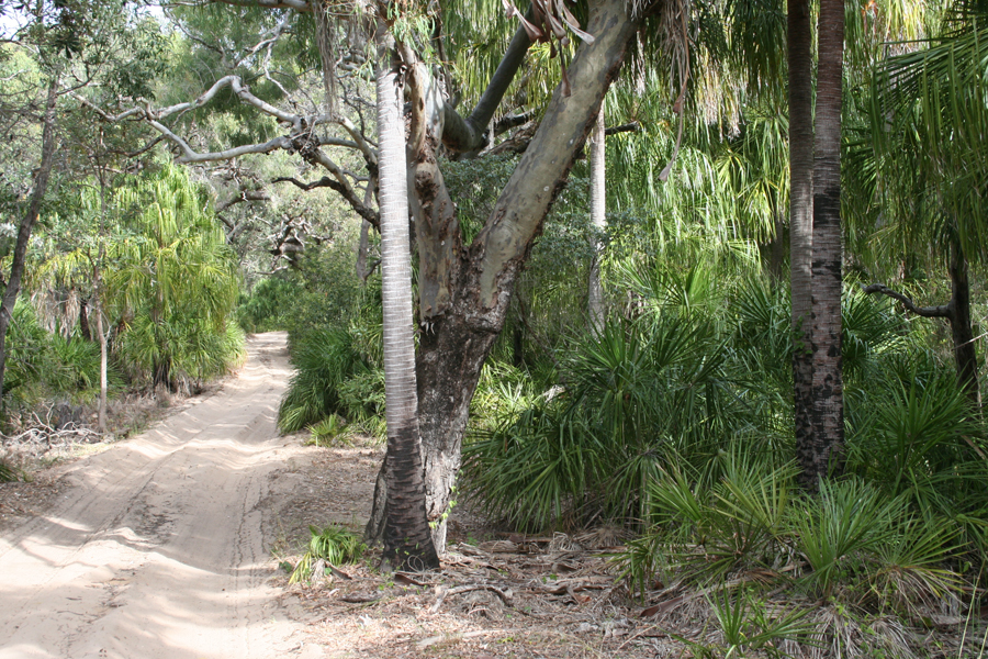 File:DeepWaterNP.JPG