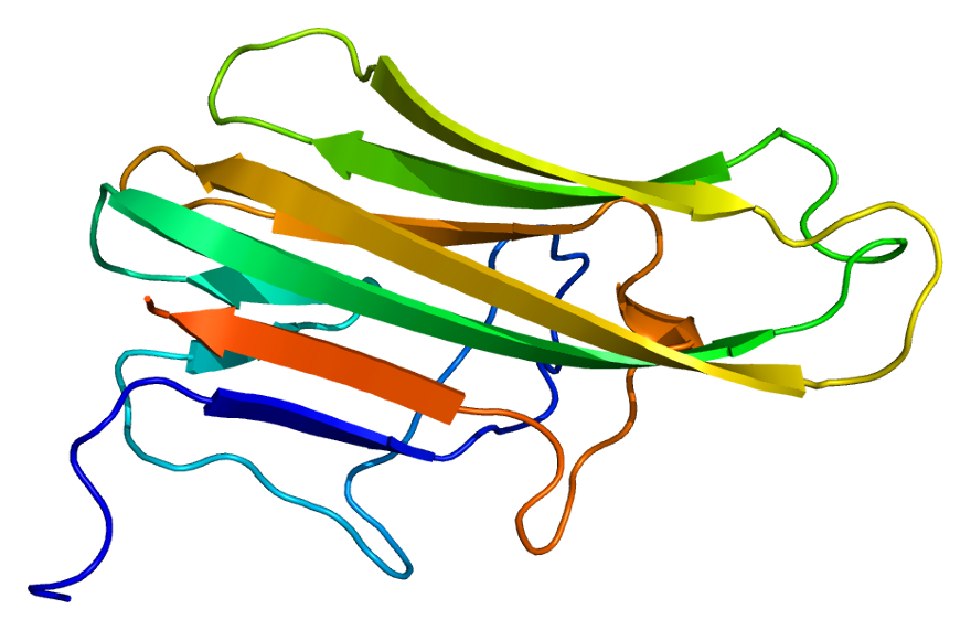 File:Protein CD40LG PDB 1aly.png