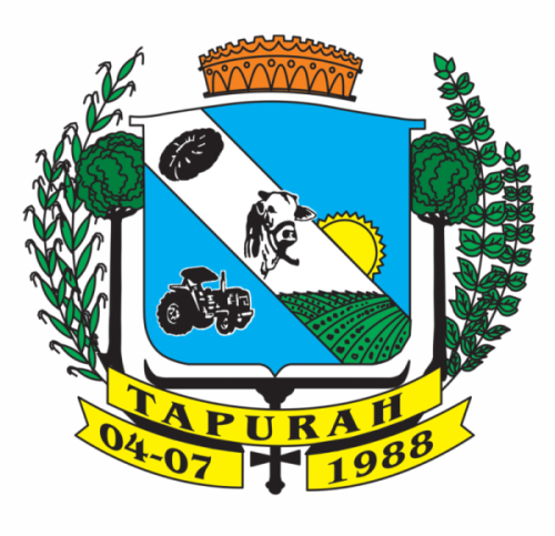 File:Brasão de Tapurah.png