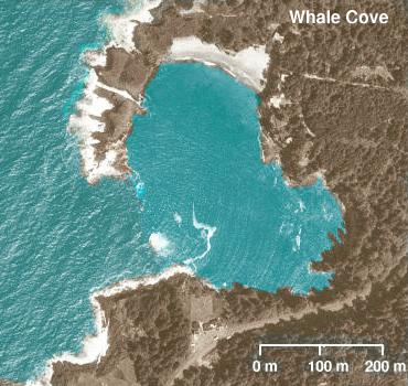 File:Wpdms usgs photo whale cove oregon.jpg