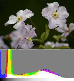 File:Histogram-Normal.png