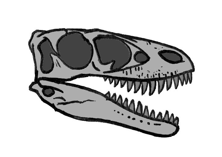 File:Raptorex skull illustration.JPG