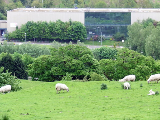 File:Former IBM Distribution Centre - geograph.org.uk - 809766.jpg